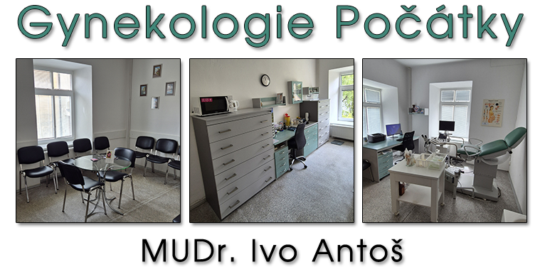 Gynekologie Počátky